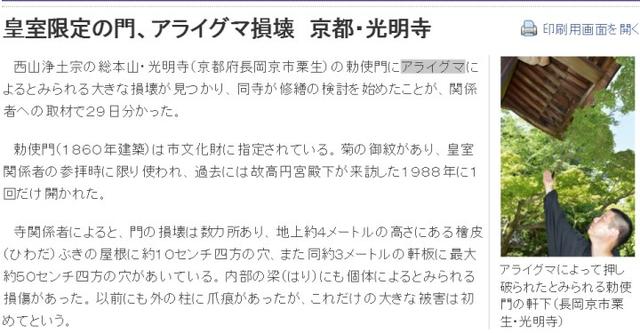 浣熊朋友破坏日本皇室专用门 修理费达数千万日元