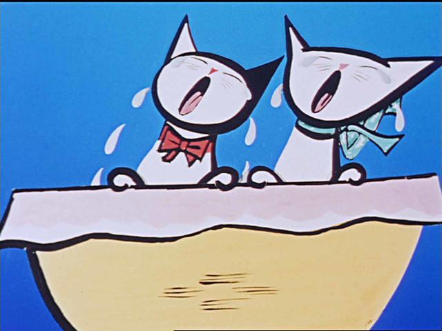 2016年猫咪电影节在大阪举行