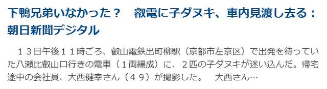 真实版《有顶天家族》！日本小狸猫没带票自觉下车