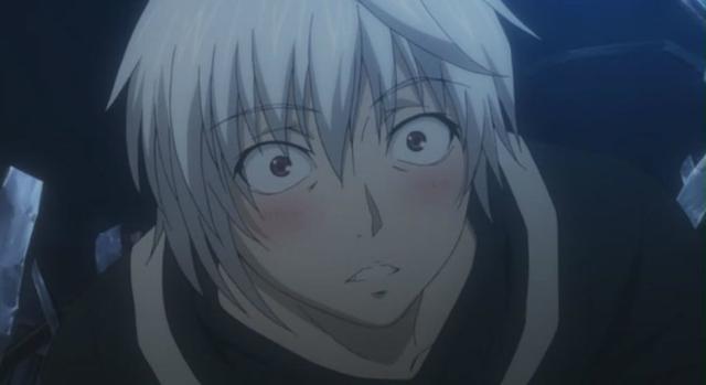 圣骑士最高位的"金刚"的称号,圣骑士中实力仅次于圣骑士长以及枢机卿