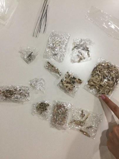 拼碎纸机里的钞票 声优的日常太喜感