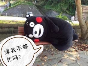 给熊本熊添乱 日本网友谎称狮子逃跑了