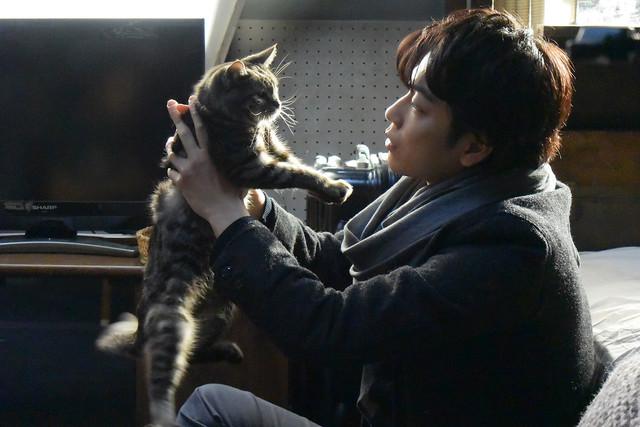佐藤健与宫崎葵拍《猫》时最想吃梅子饭团