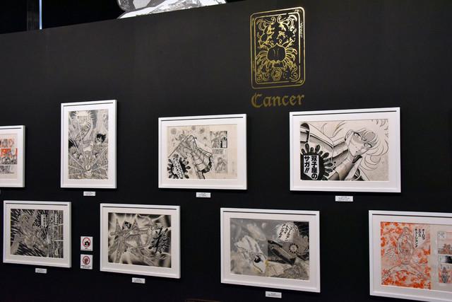《圣斗士星矢》30周年展开幕,动画将有新动作