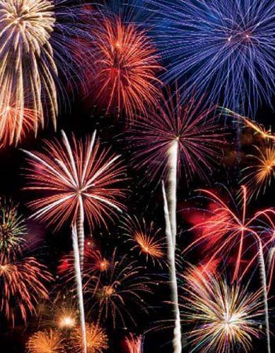 2017-2021年中国花炮行业产销需求与投资预测分析报告