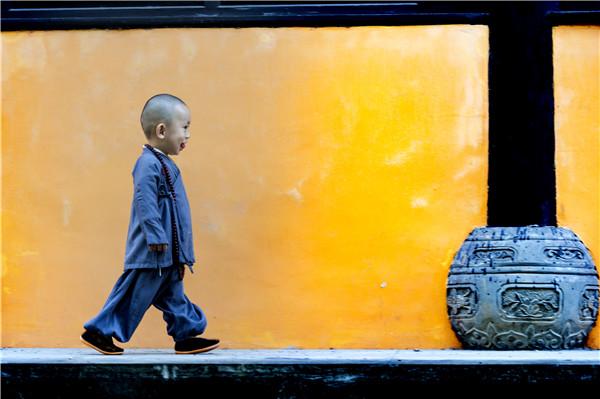 网友温泉寺前拍到最萌"小沙弥"(图)