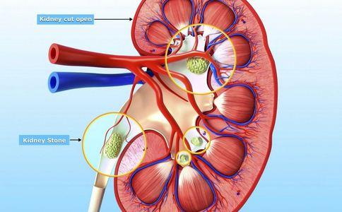 世界公认的最好方法,我国肾移植十年存活率已近90%!