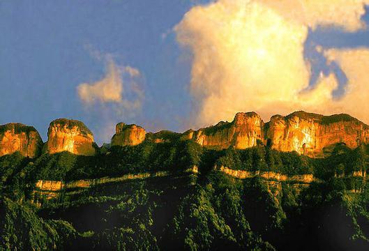 南川金佛山中蜂产业蓬勃发展