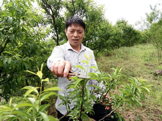 林福森的致富经：一人富不算富 大家富才算富