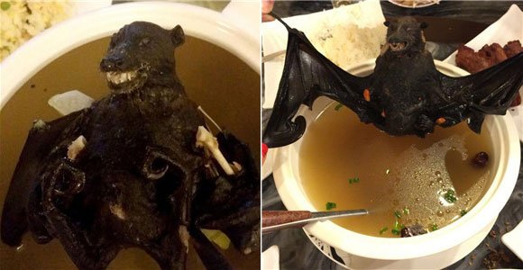 帕劳现水果蝙蝠汤