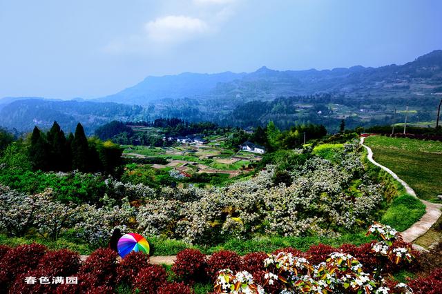 "重庆十佳赏花节会"杜市太公山等你来