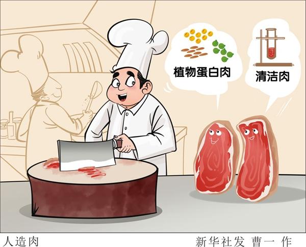 未来人造肉真会走向百姓餐桌 成为肉类替代吗