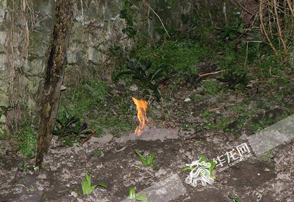 菜地里冒出无名火 原是天燃气软管泄漏闹的"鬼"