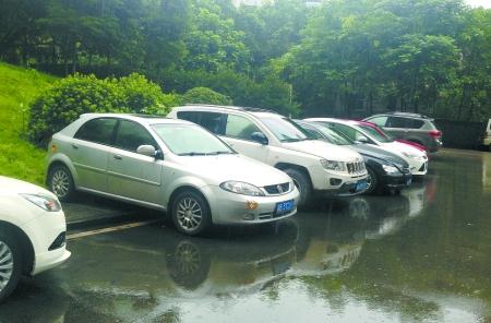 沙坪壩濱江路美麗山水小區附近,不少車主將車停在馬路牙子上.