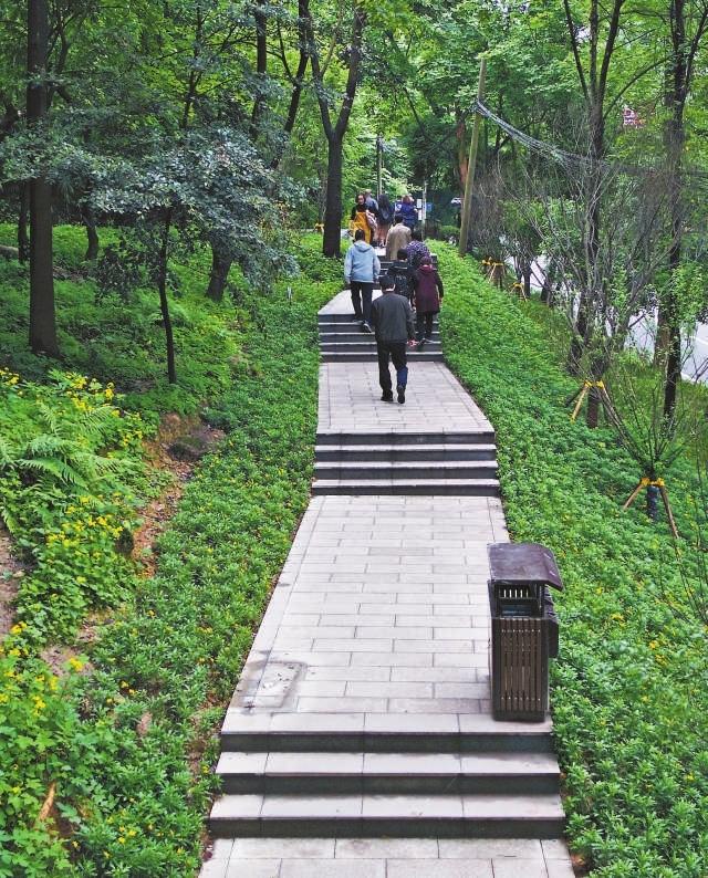 建成投用的红岩联线景区山城步道.