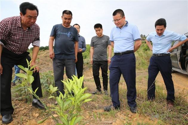 副县长张迁调研安坪镇污水管网 5月3日,副县长张迁带领县水务局,县