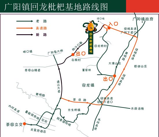 重庆茶园东新区概念规划手册