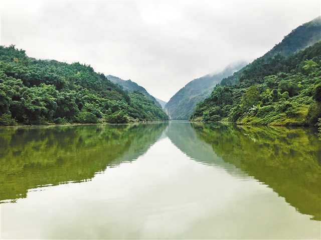 江北区御临河复盛段主城最美河流炼成记