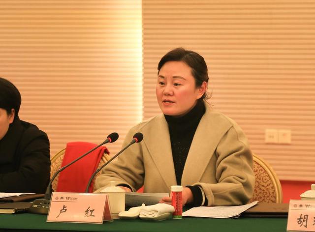 群言献策 武隆召开2017旅游发展座谈会