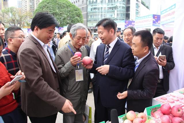 市果业局副局长李军民(左一,县委书周庆文向重庆嘉宾介绍白水苹果