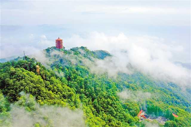 嘉陵江畔的缙云山国家级自然保护区.