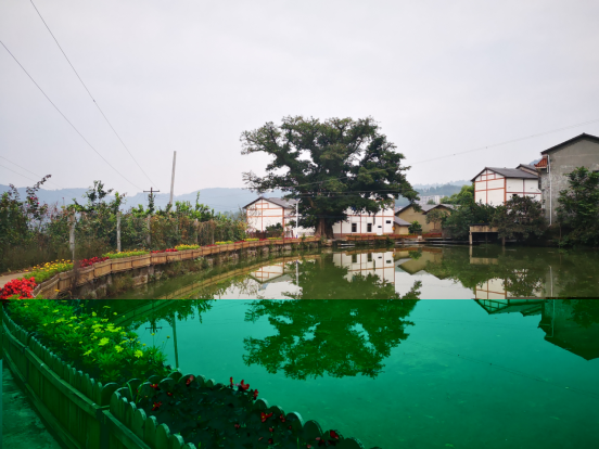 万州区甘宁镇重拳出击大棚房整治动真格