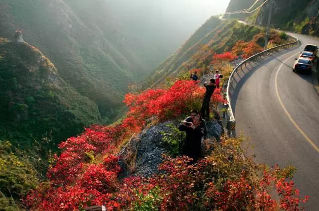 13條精品線路看遍巫山紅葉!