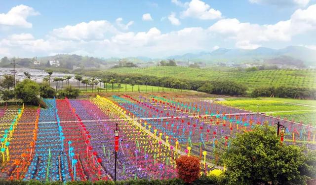 綦江农博园