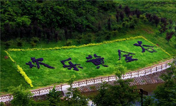 惊喜!欢乐黄金谷三八女神节放大招!