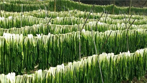 大足"非遗"传承人的冬菜情结 拯救品牌冬尖
