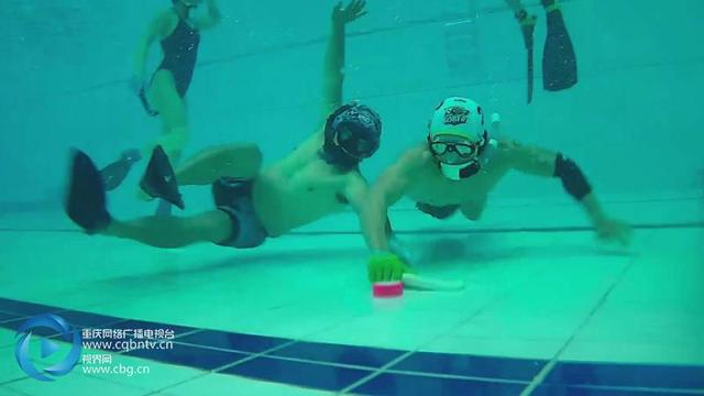 水下VAR技术震撼登场游泳赛事迎来公平与观赏体验的新时代(图1)