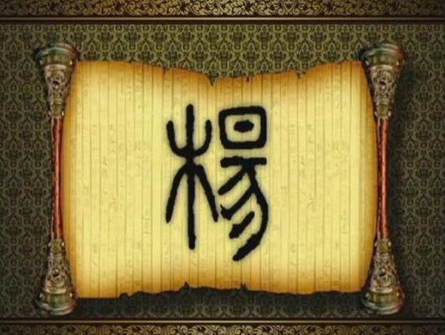 杨氏家族的传奇千载