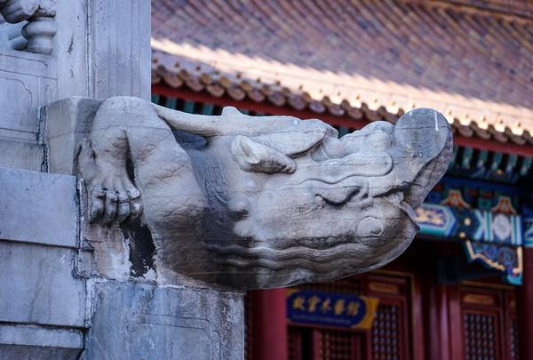 管饭部落杂谈分享#故宫中的神奇怪兽在哪里