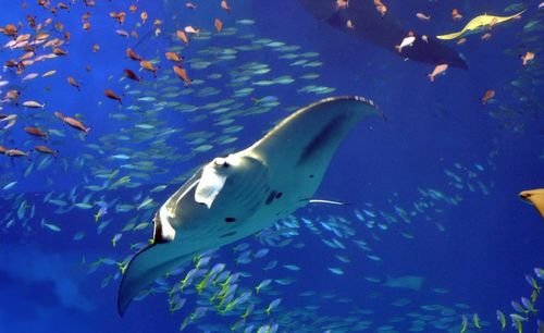 适合拍泳装美女三防相机推荐