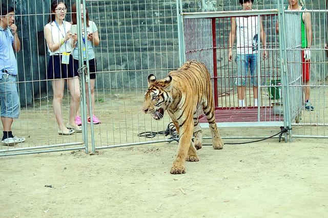探班斗地主刘桦拍床戏拒围观调侃身材不好