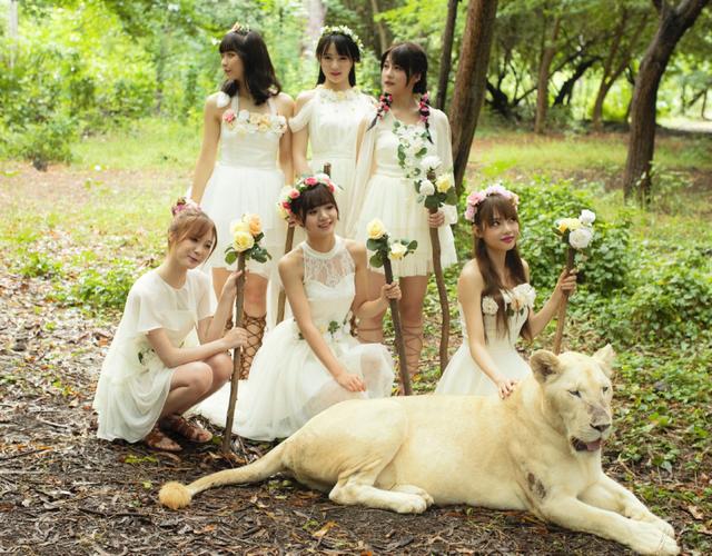 snh48泳装mv《梦想岛》重磅上线 清凉一夏