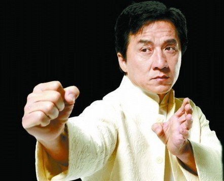 央视蛇年春晚出奇招 成龙携高手搭档表演蛇拳