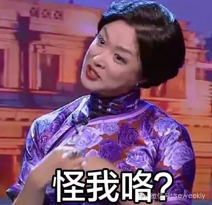 金星:看不起拿我和高晓松比 我是娱乐圈大法官