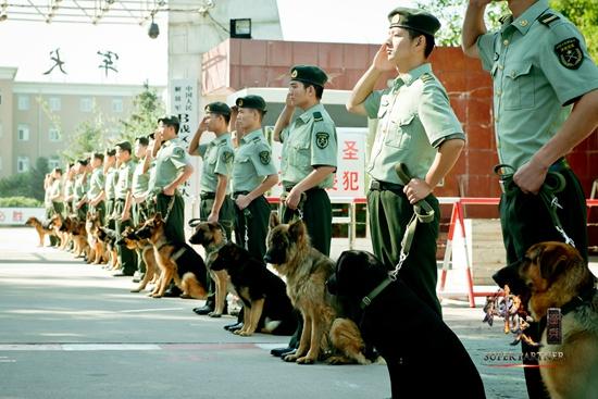 神犬奇兵步枪回家图片