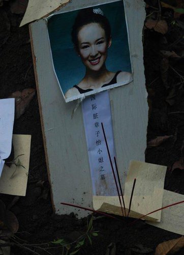 网友上传章子怡墓碑现场照片.(资料图)