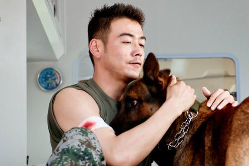 楊爍在拍攝中被軍犬咬傷五次;two.此次在電視劇神犬奇兵中;three.