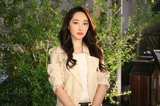 陈晓,袁姗姗,蒋梦婕,郭晓冬,张哲瀚等一众实力派明星领衔主演的偶像