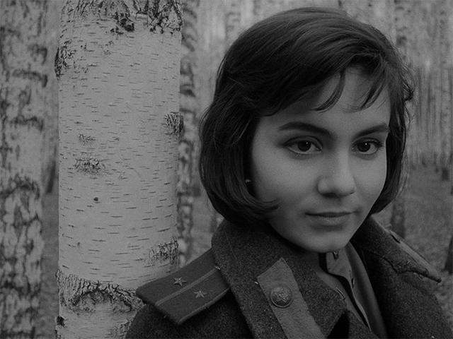 定格第268期,这个瞬间来自,苏联的战地护士玛莎跨过壕沟,被中尉戈克森