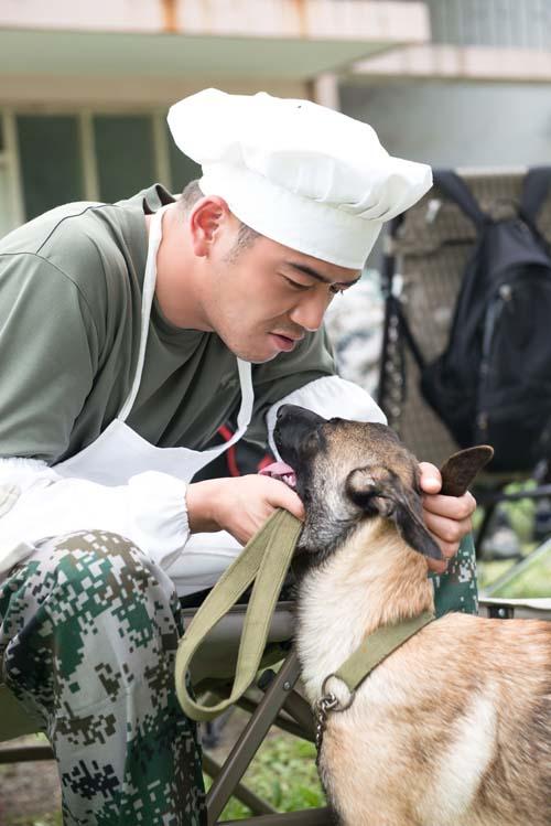 《神犬奇兵》收视神勇 开播飘红破二奔三