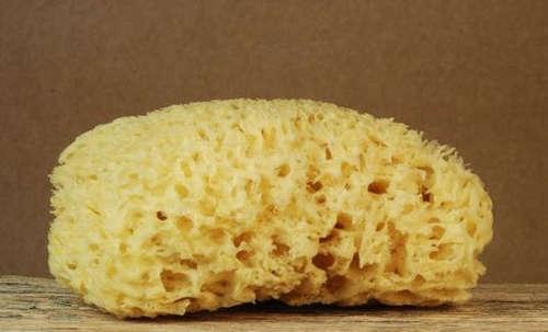 天然海绵清洁更养肤