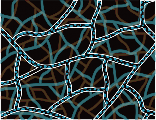 时装艺术与量子力学:Todd Hessert