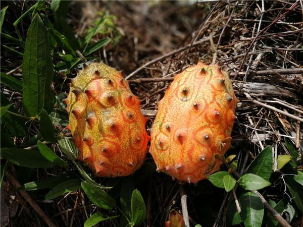 灭霸与一个被复联带火的中国山村