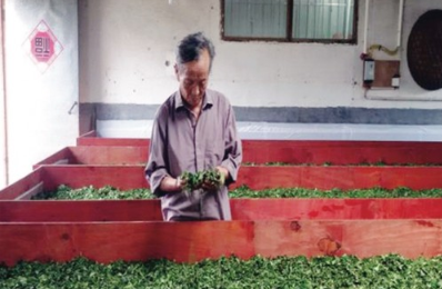 用匠心种好茶,淘宝春茶节把品质松阳春茶带到消费者身边