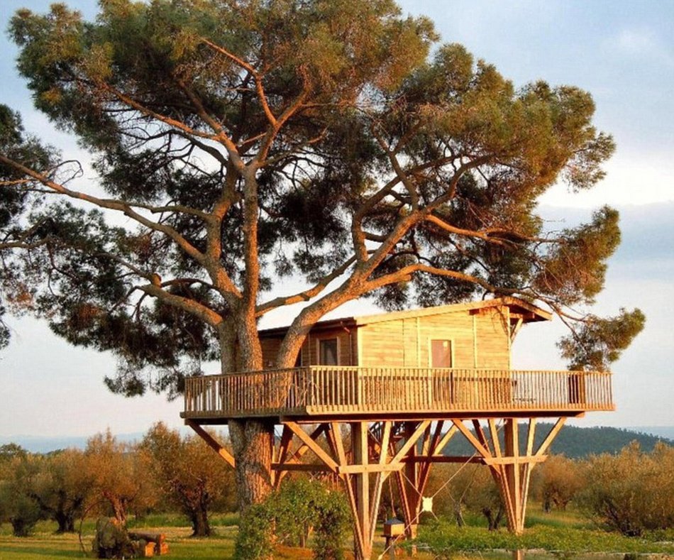 组图:建筑师妙手打造世间最奢华树屋