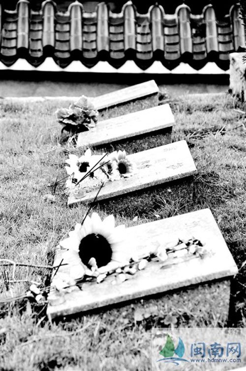 漳州生态殡葬现状：树葬推广8年只埋5具骨灰